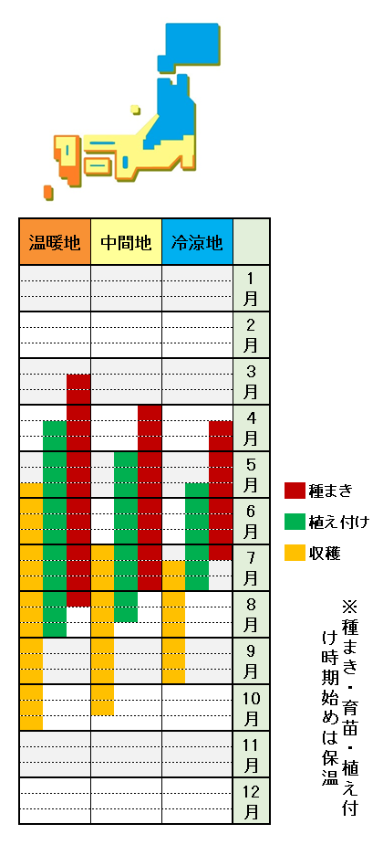 きゅうりの栽培方法 育て方 摘心ありで支柱プランター栽培なら小学生でも病気なし あぐりみち