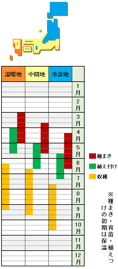 カボチャの栽培方法 育て方 水やりなし放任栽培でも失敗しない あぐりみち