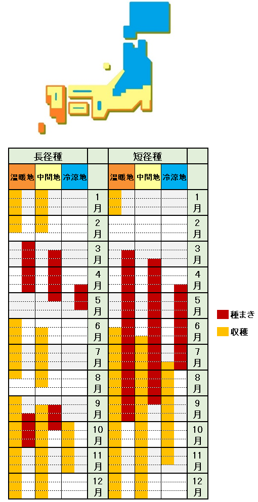 ゴボウの栽培方法 育て方 トタンの波板栽培 Or 袋栽培が簡単 あぐりみち