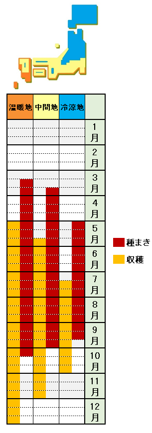 三つ葉の栽培方法 育て方 水耕栽培 プランター栽培も簡単 あぐりみち