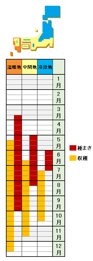 空芯菜 エンサイ ヨウサイ の栽培方法 育て方 挿し木で増殖も あぐりみち