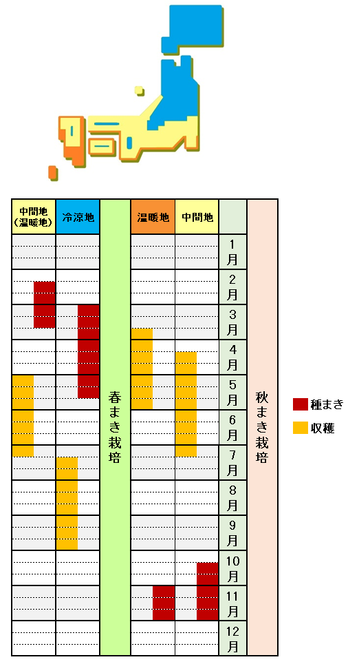 スナップエンドウ サヤエンドウの栽培方法 育て方 春まきもできる 支柱立ては合掌式で あぐりみち