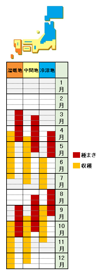 春菊の栽培方法 育て方 間引きと摘み取りで収穫し放題 あぐりみち