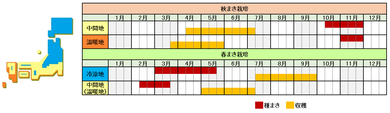 エンドウ栽培時期横