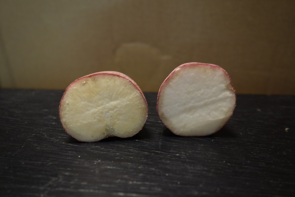 中身が真っ白な芋（左が通常、右が白）
